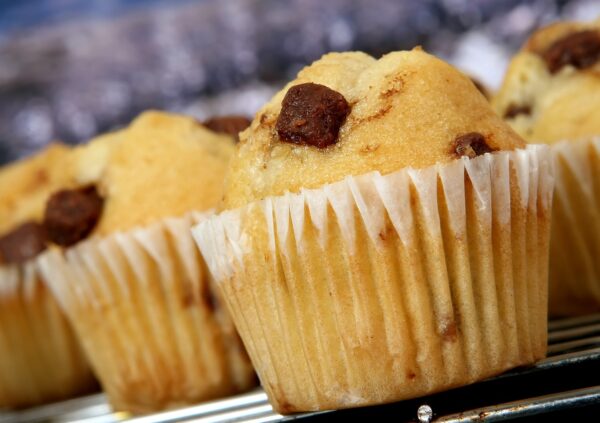 bake, cupcakes, muffins, food, bakery, baking, desserts, breakfast, cake, delicious, nutrition, snack, sweet, taste, bakery, cake, cake, cake, cake, cake